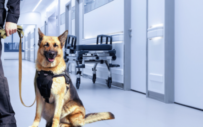 Davin Discussions: Addressing Workplace Violence in Healthcare Settings with K9 Security